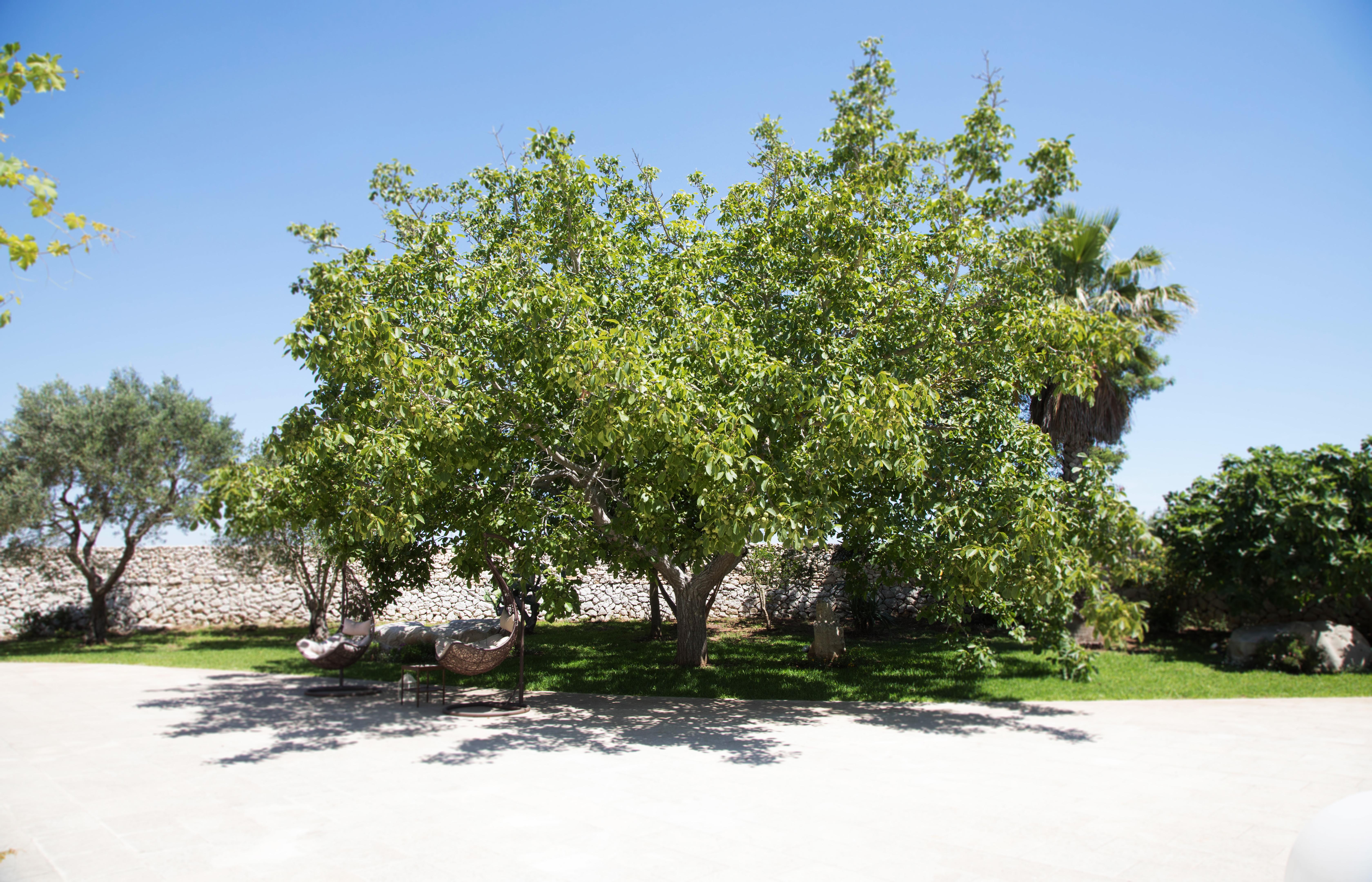 Don Agostino Relais Masseria Мартано Екстер'єр фото